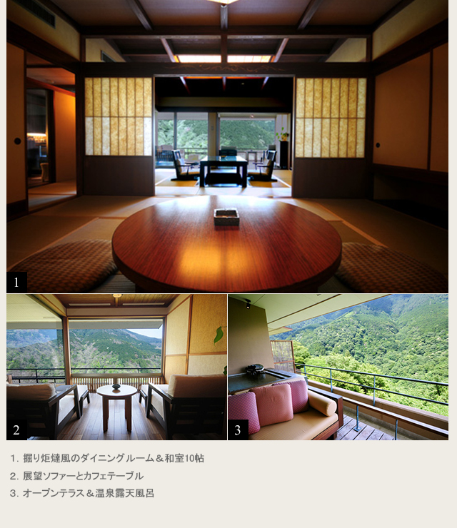 露天風呂付き客 風タイプ:和室