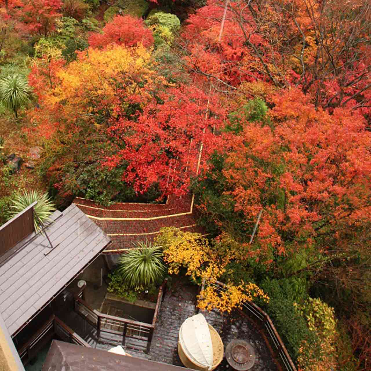 Autumn