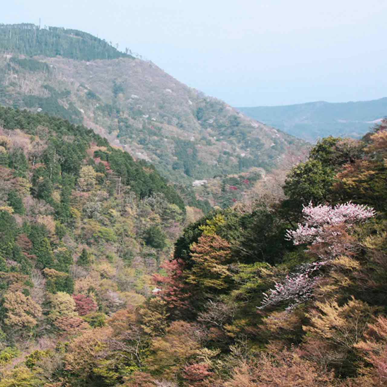 Spring