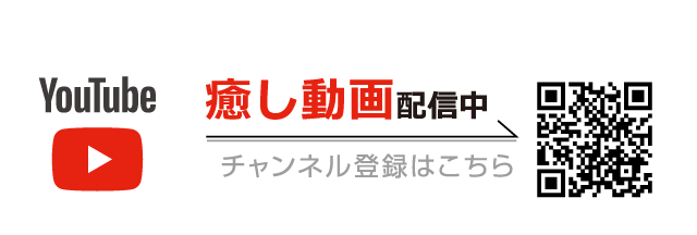 癒し動画配信中